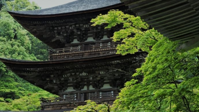 西明寺 湖東三山 深緑めぐり