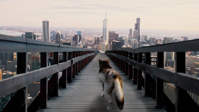 都市上空に架かる橋～Photoshop Elements