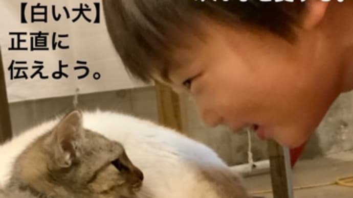 〜マヤ暦KK171 青い猿・白い犬・音2〜　　「白い犬」音1の日に家族愛について考える