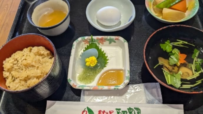 早寝早起きで日帰り旅行へ