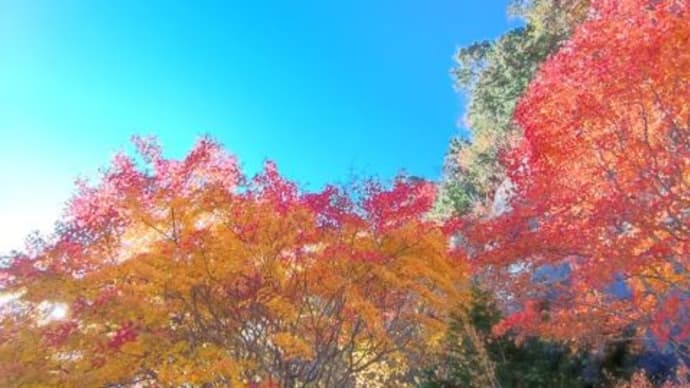 高瀬渓谷へ紅葉狩り