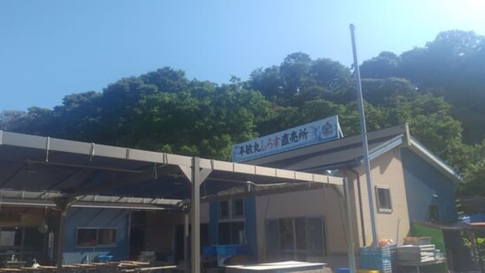 佐島