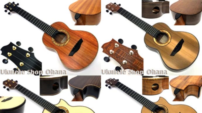 Akira Niihori Ukulele 新作5本入荷です(´▽`*)♪