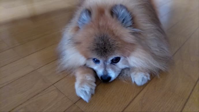 ギャップ