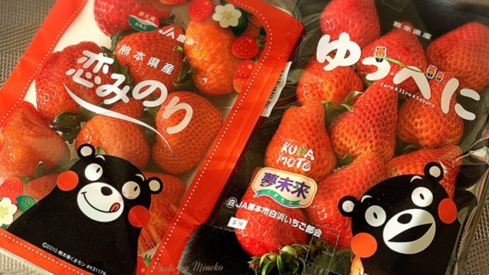 【熊本】クマもんのふるさとのイチゴ食べ比べ「恋みのり」と「ゆうべに」