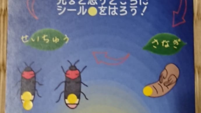 ホタルを見てきました。