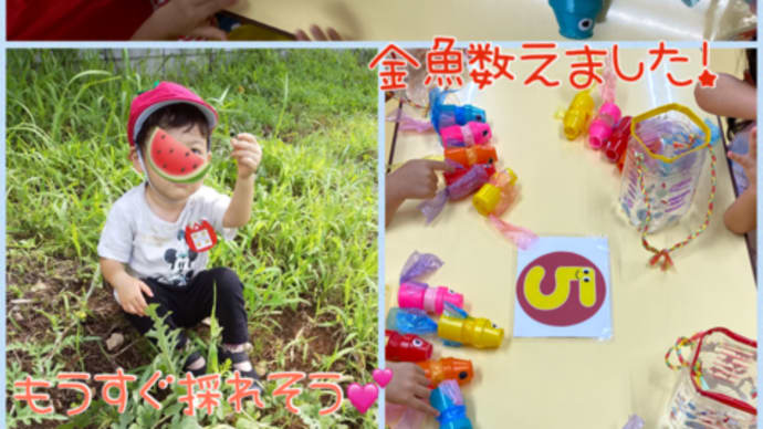文字数もがんばっています!