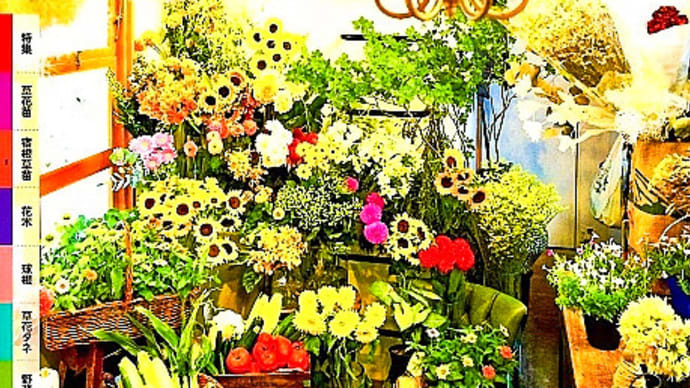 タキイ種苗㈱から、『花と野菜ガイド』2024年春号が送られてきました