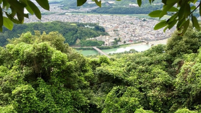 癌で死ぬのは、楽なのか??