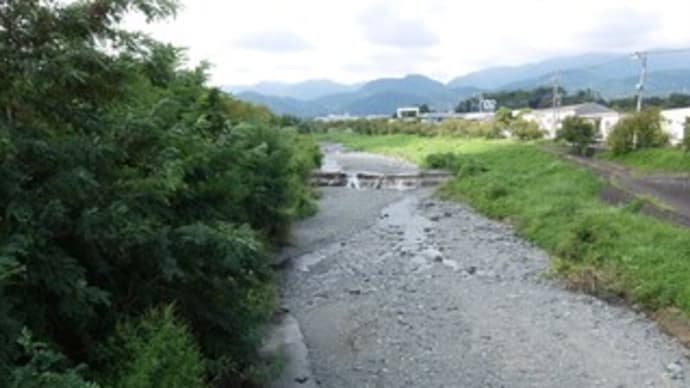2024神奈川河川ポタリング『水無川』⑤塚原橋~平和橋