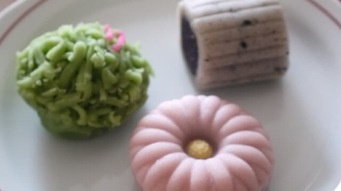 ちもと 菊のつゆ