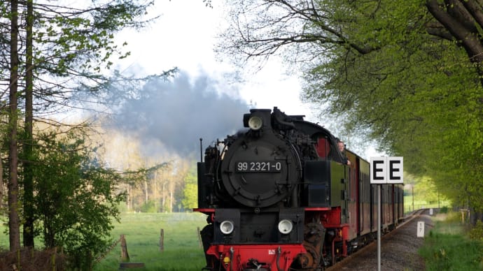 8038-ドイツ モリー鉄道(6)バード・ドーベラン ダムショッセ
