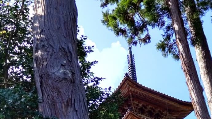 誕プレ佐渡島弾丸旅行その⑧ 阿仏房妙宣寺。