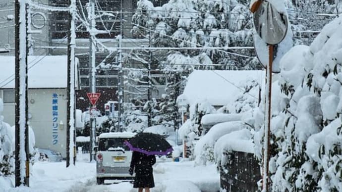 29センチの積雪となった米子市内の風景 1月25日
