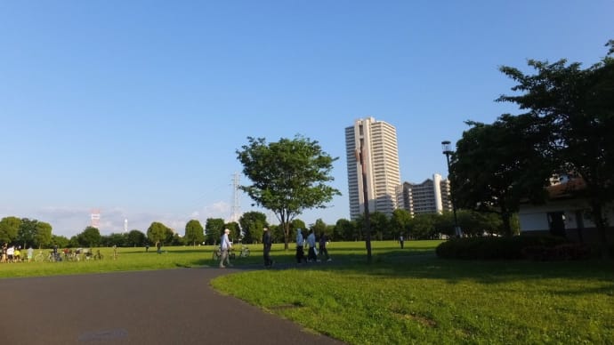 旧中川の遊歩道の途中で土手を上がったら　広大な空間の都立大島小松川公園があった。