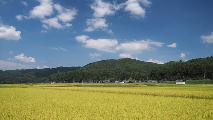 ★大町市木崎湖畔にて　2023