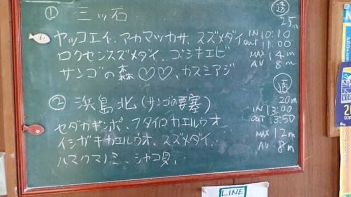 20220426ダイビングログ