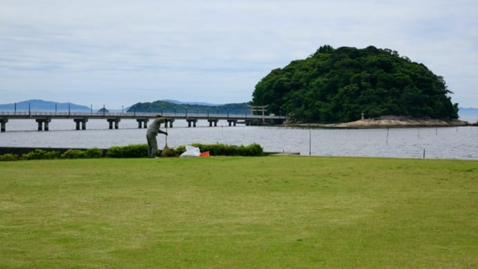 今日は静かで公園管理のおじさんは活躍