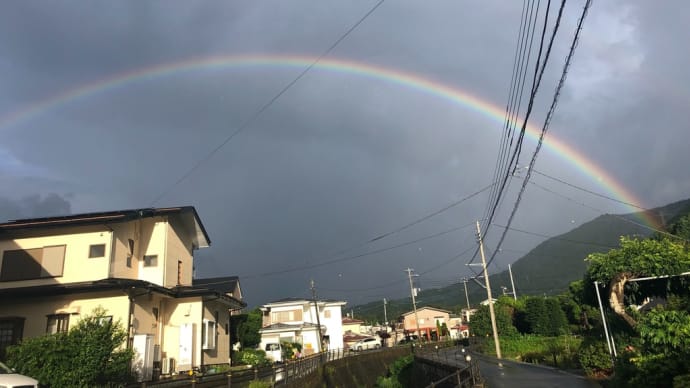 雨雲に追はれて立ちぬ朝の虹