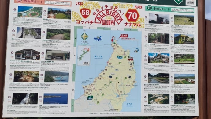 沖縄3泊4日の旅#4 最北端でヤンバルにサロンパスと国際通り