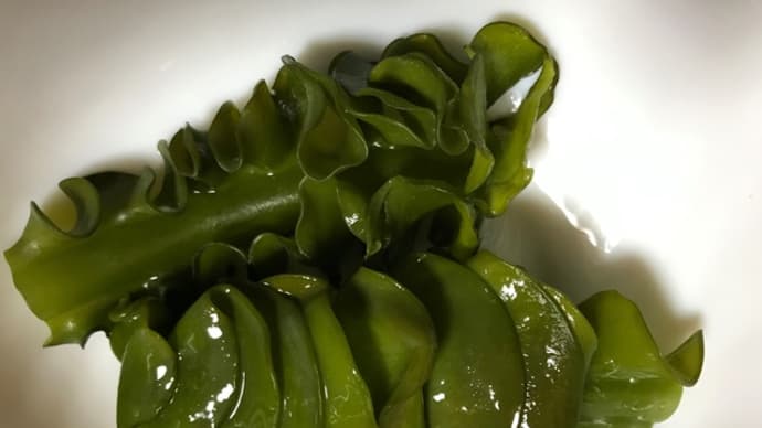 生わかめ購入
