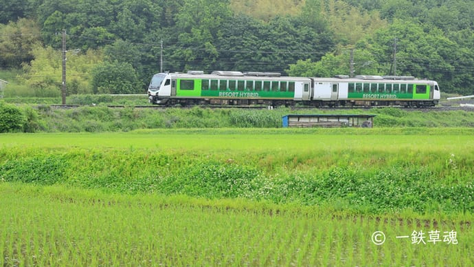 青梅雨にけぶる車窓やひとり旅
