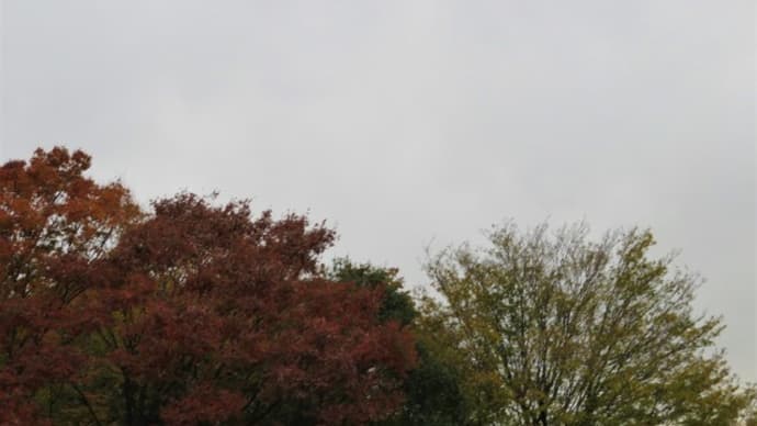 霧の中の滝沢ダム(奥秩父の紅葉 ~その2 ~)