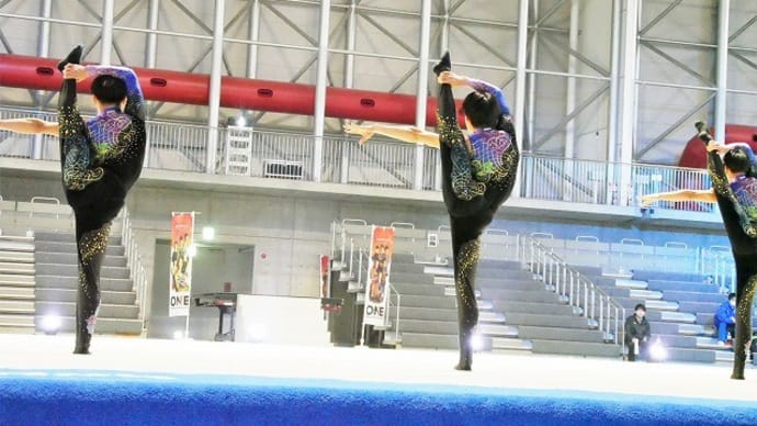 ONE GYMNASTICS FESTA(オージーエフ)を観た