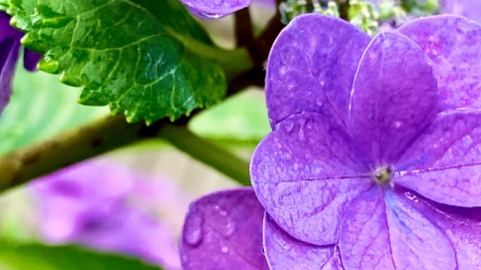 梅雨の晴れ間に 健康コーラボ ストレッチを!