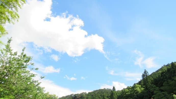 '21.06.20 梅雨の合間のまるで夏のような1日でした