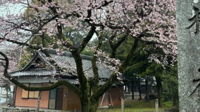 雨の中覗いて見ました