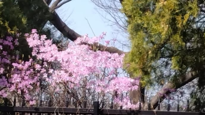 春休み