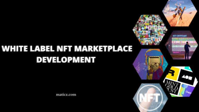 How a White Label NFT Marketplace is developed?