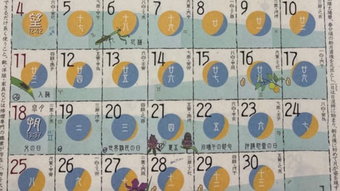 ◉6月の出没予定 2023◉