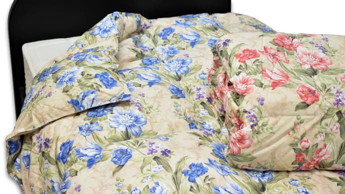 西川 羽毛合掛けふとん ダウン85%・0.6kg WDD85 花柄 シングルSL 入荷しました