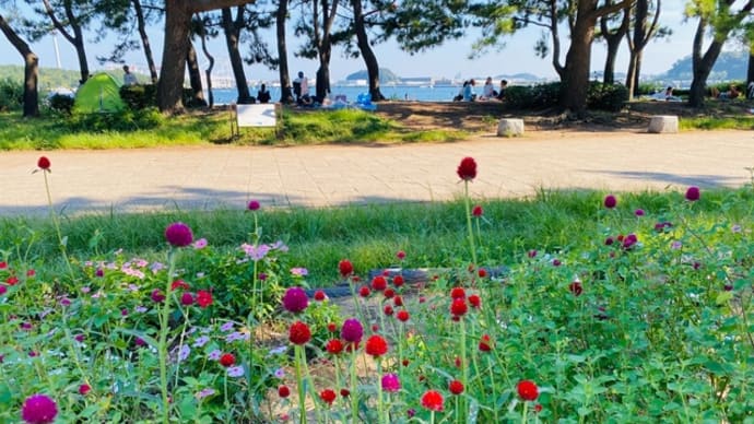 海の公園