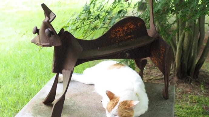 松山庭園美術館で出会った 可愛い猫ちゃんたちのお話です