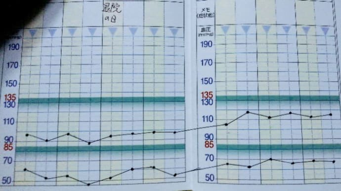 血圧手帳が復活し、、その29&体重測定1