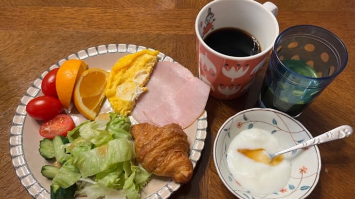 4月20日(日)踵が痛いので家で休養