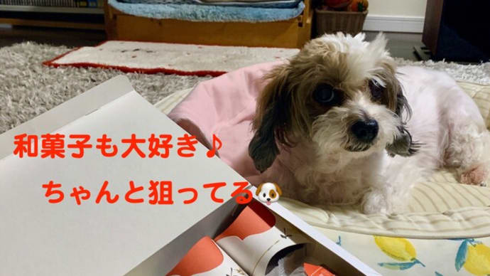 そして和菓子まで！