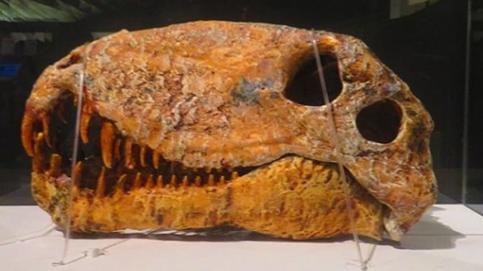 わけあって絶滅した恐竜たち