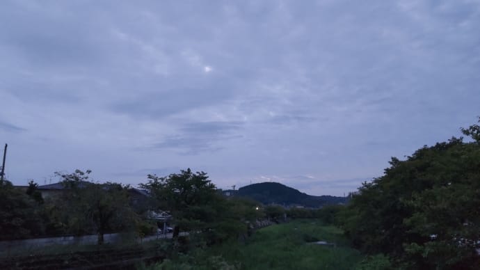 認知症ケア