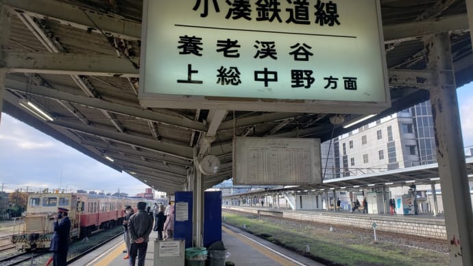 紅葉とハンバーグは相性がいいらしい(適当)