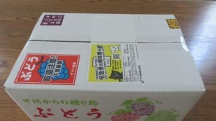 お礼の品147