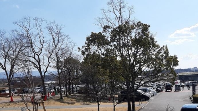 久しぶりに公園散歩