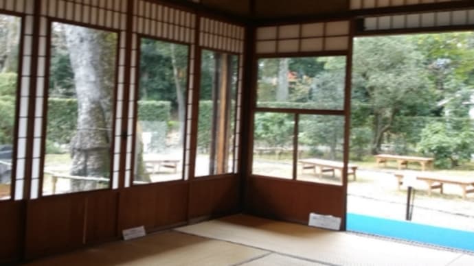 1/13 京都を歩く
