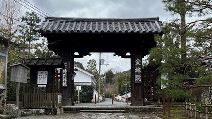 京都で観光タクシープラン♫