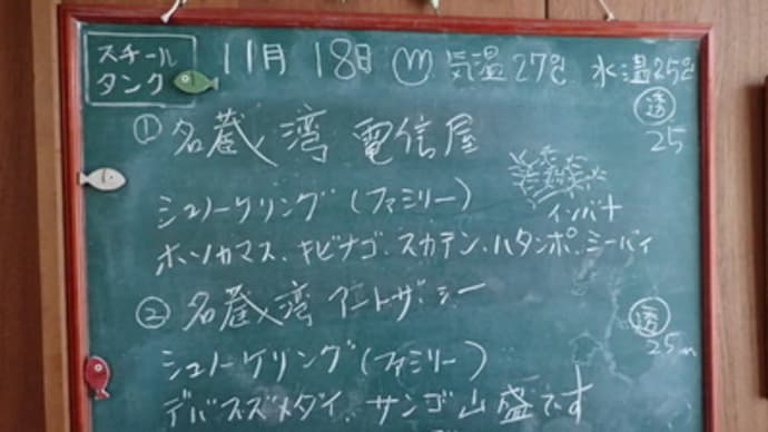20211118ダイビングログ