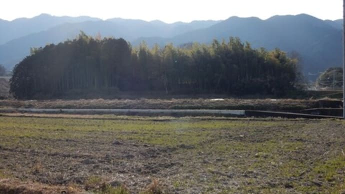 葛城の国の古墳めぐり⑪ ~火振山古墳(新庄神塚古墳)
