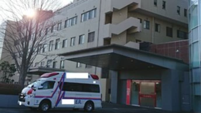 人間ドッグ。